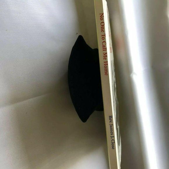 No One to Call Me Home: America’s New Orphans by James Close Paperback - Picture 5 of 8